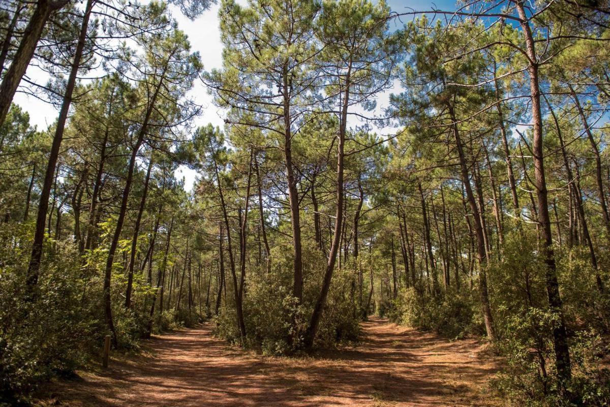 Le Petit Cote Ouest - Appt Dans Les Pins Pres De La Plage Les Sables-dʼOlonne Екстериор снимка